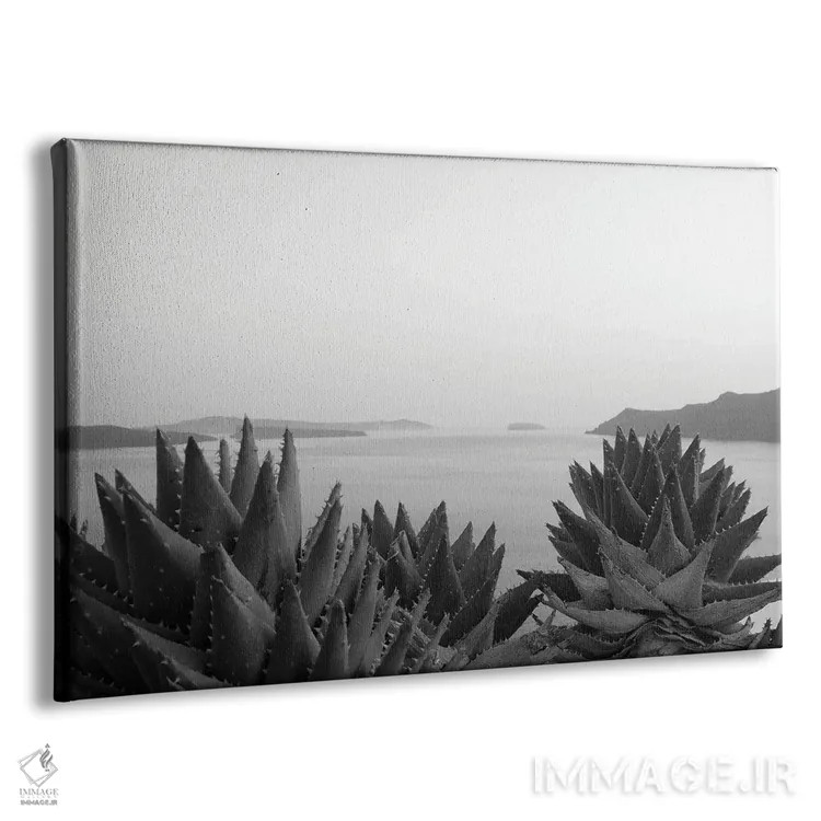 تابلو رویای ذن سانتورینی سیاه و سفید II اثر هنر آنیتا و بلا - نمای پرسپکتیو محصول