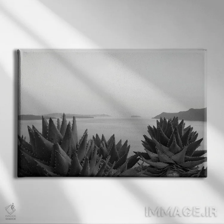 تابلو رویای ذن سانتورینی سیاه و سفید II اثر هنر آنیتا و بلا - نمای روبهرو روی دیوار