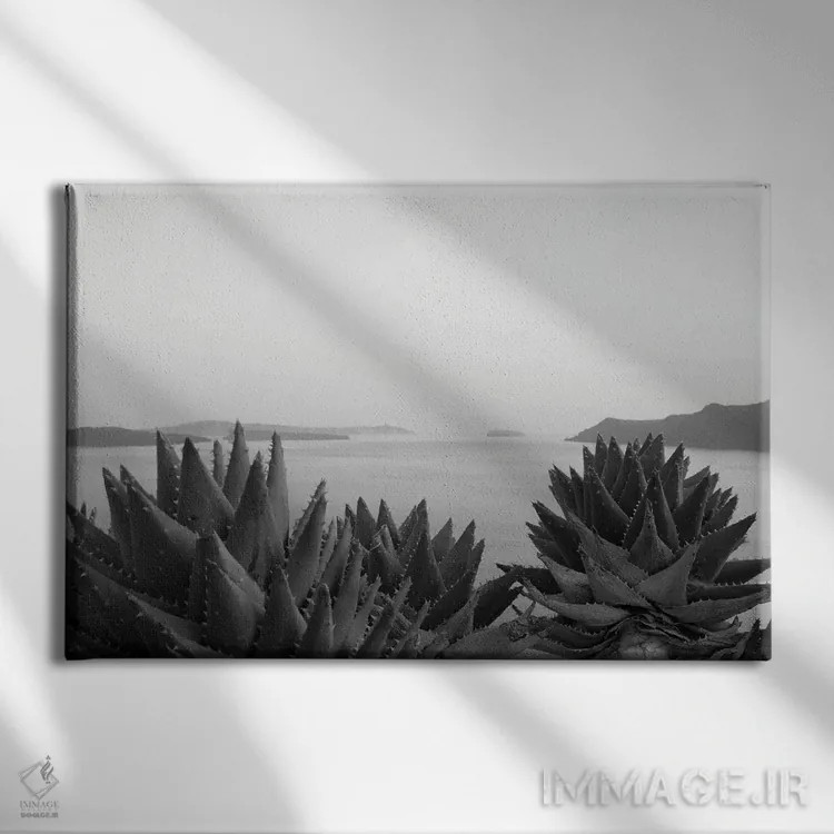 تابلو رویای ذن سانتورینی سیاه و سفید II اثر هنر آنیتا و بلا - نمای روبهرو روی دیوار