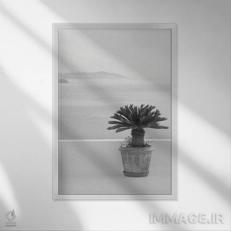 تابلو رویای ذن سانتورینی سیاه و سفید I اثر هنر آنیتا و بلا - نمای قابدار سفید