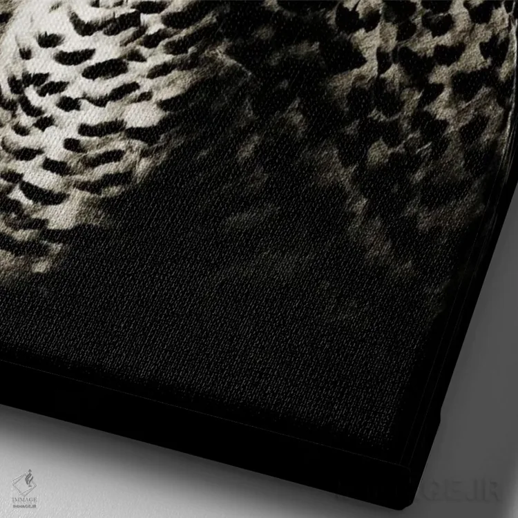 تابلو جغد برفی I اثر هنر آنیتا و بلا - نمای نزدیک بافت بوم