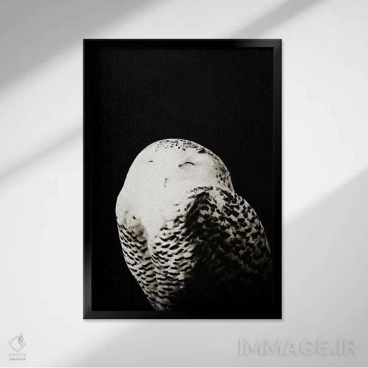 تابلو جغد برفی I اثر هنر آنیتا و بلا - نمای قابدار مشکی