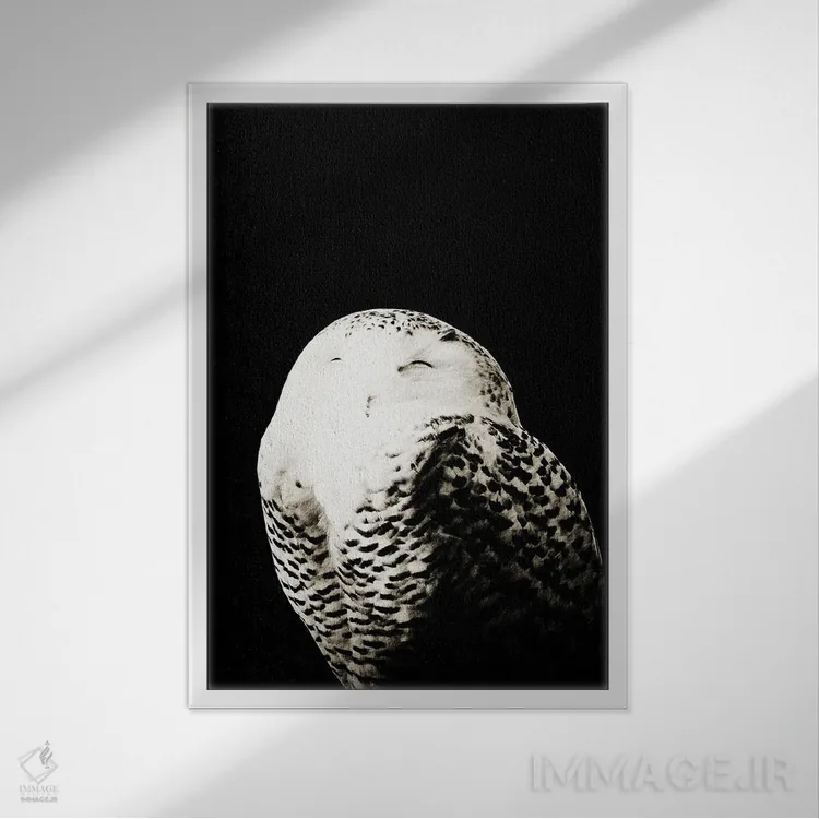 تابلو جغد برفی I اثر هنر آنیتا و بلا - نمای قابدار سفید