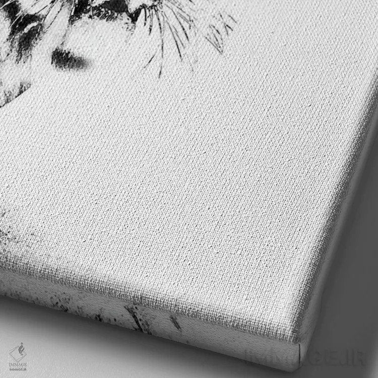 تابلو ببر سیاه و سفید I اثر هنر آنیتا و بلا - نمای نزدیک بافت بوم