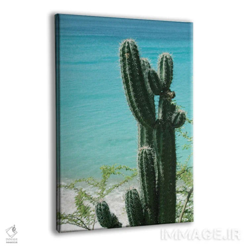 تابلو حال و هوای ساحل اقیانوس کاکتوس گرمسیری II اثر هنر آنیتا و بلا - نمای پرسپکتیو محصول