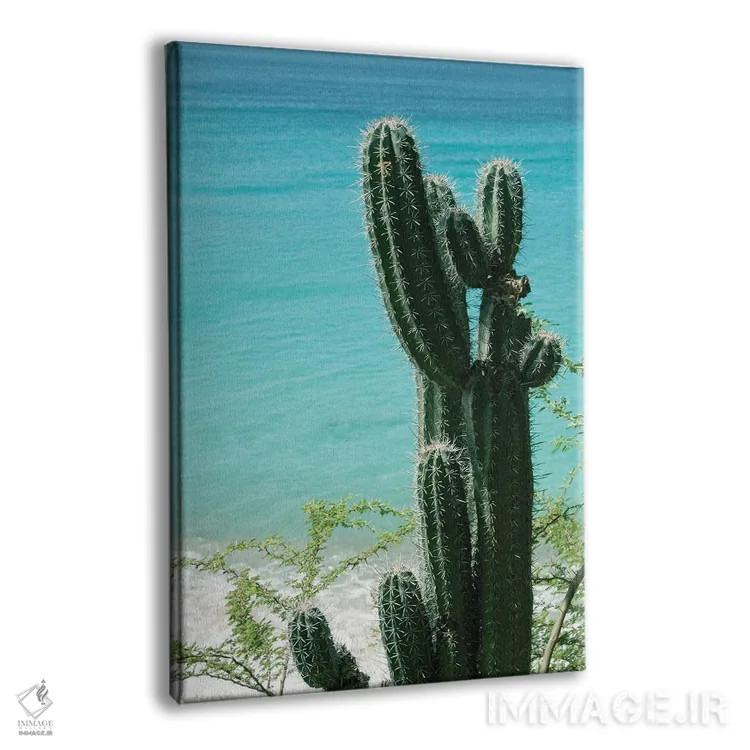 تابلو حال و هوای ساحل اقیانوس کاکتوس گرمسیری II اثر هنر آنیتا و بلا - نمای پرسپکتیو محصول