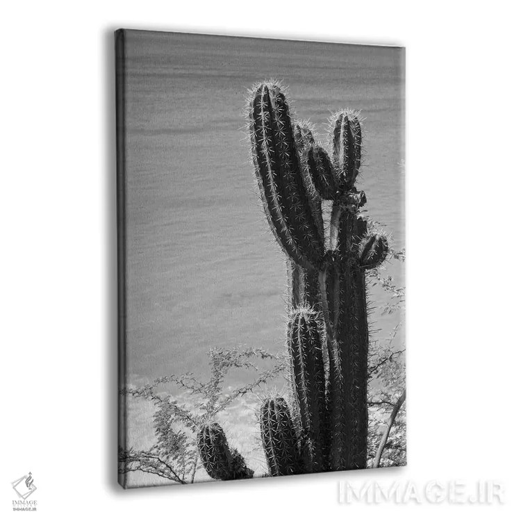 تابلو حال و هوای ساحل اقیانوس کاکتوس گرمسیری III اثر هنر آنیتا و بلا - نمای پرسپکتیو محصول