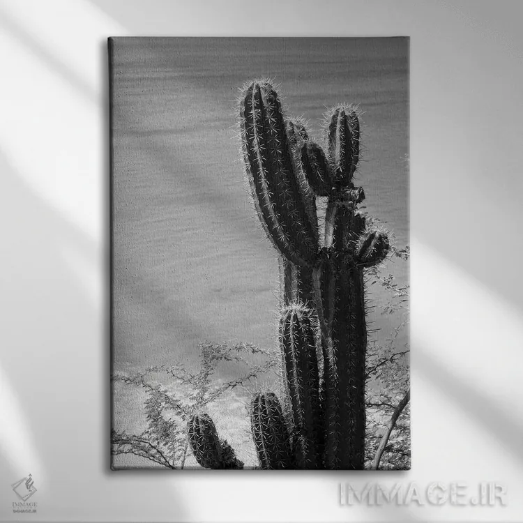 تابلو حال و هوای ساحل اقیانوس کاکتوس گرمسیری III اثر هنر آنیتا و بلا - نمای روبهرو روی دیوار