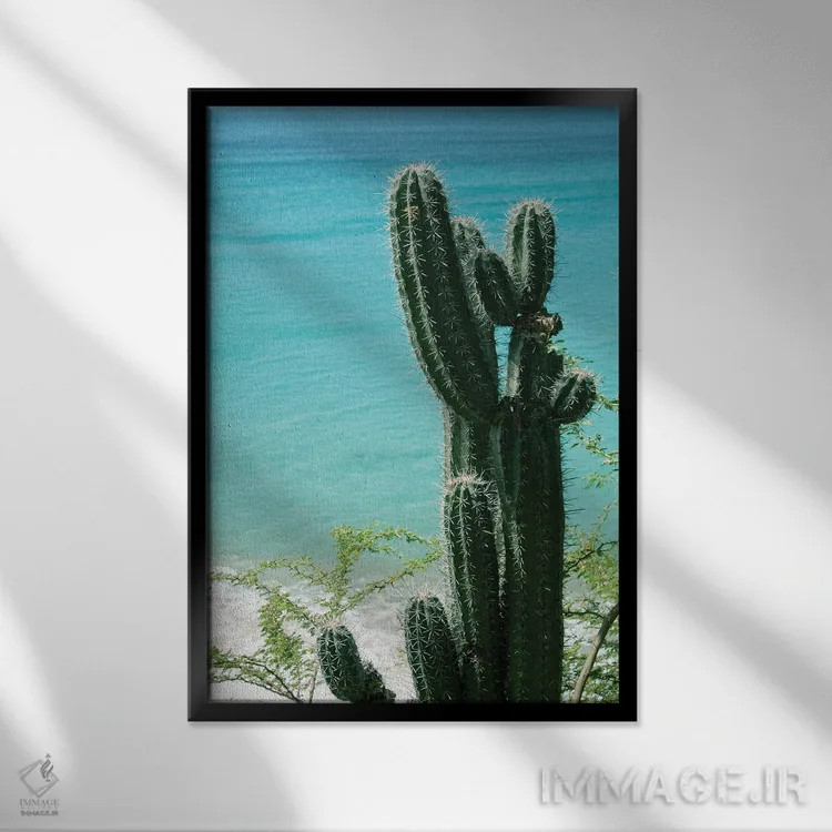 تابلو حال و هوای ساحل اقیانوس کاکتوس گرمسیری II اثر هنر آنیتا و بلا - نمای قابدار مشکی