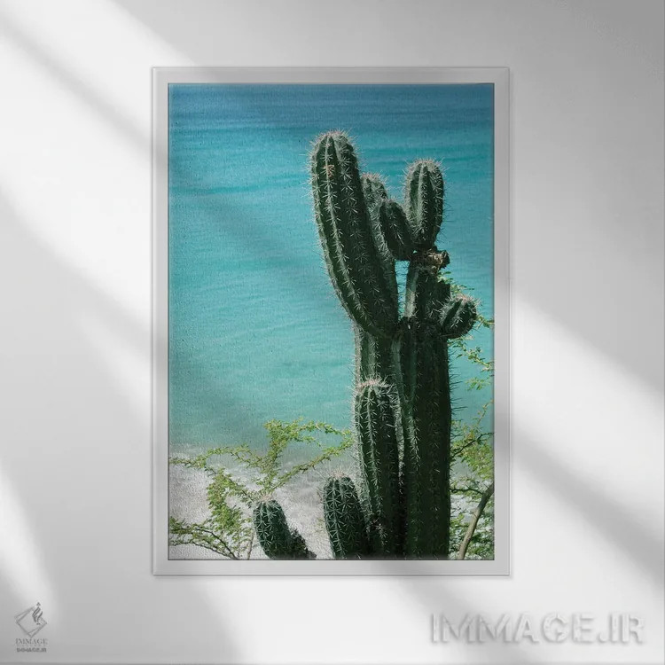 تابلو حال و هوای ساحل اقیانوس کاکتوس گرمسیری II اثر هنر آنیتا و بلا - نمای قابدار سفید
