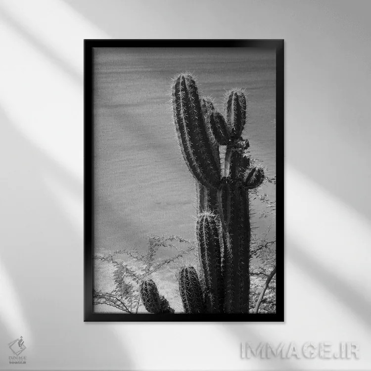 تابلو حال و هوای ساحل اقیانوس کاکتوس گرمسیری III اثر هنر آنیتا و بلا - نمای قابدار مشکی