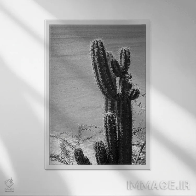 تابلو حال و هوای ساحل اقیانوس کاکتوس گرمسیری III اثر هنر آنیتا و بلا - نمای قابدار سفید