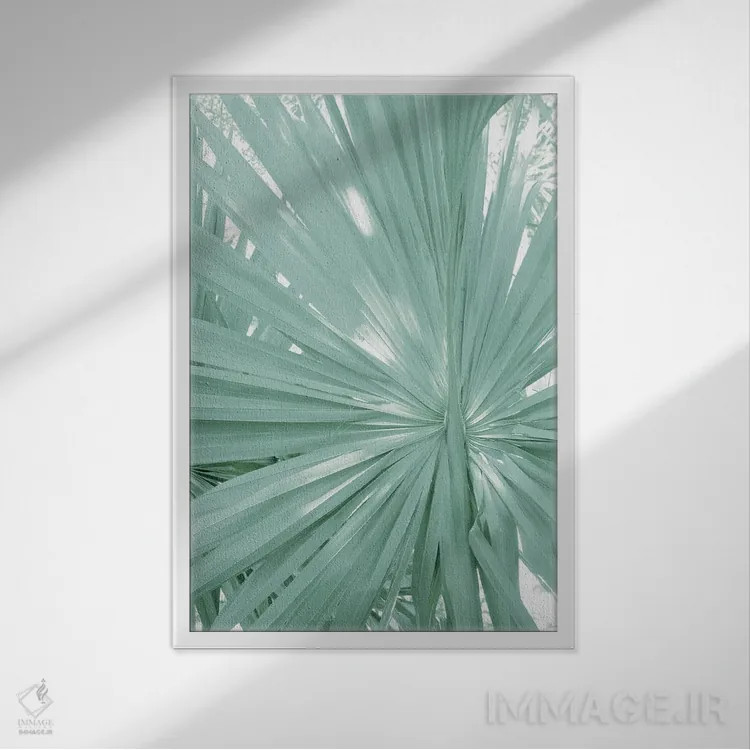تابلو ظرافت نخل بادبزنی گرمسیری II اثر هنر آنیتا و بلا - نمای قابدار سفید