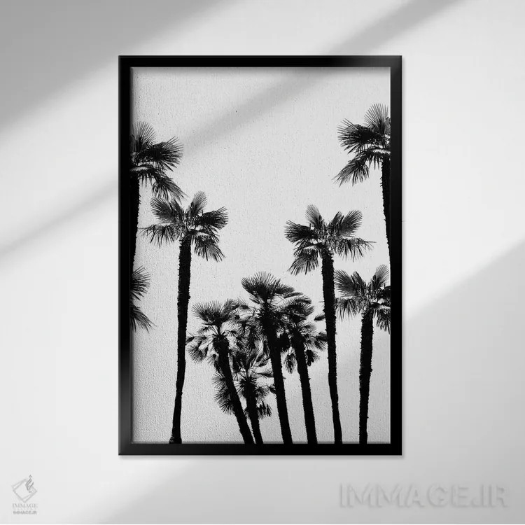 تابلو رویای درختان نخل گرمسیری II اثر هنر آنیتا و بلا - نمای قابدار مشکی