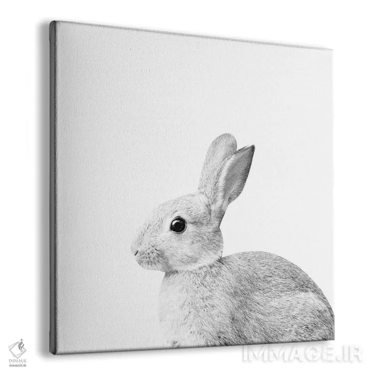 تابلو خرگوش سفید کوچک I اثر هنر آنیتا و بلا - نمای پرسپکتیو محصول