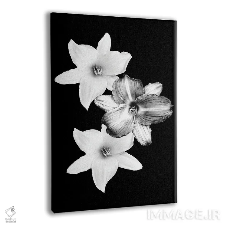 تابلو سوسنهای سفید بر زمینهٔ مشکی I اثر هنر آنیتا و بلا - نمای پرسپکتیو محصول