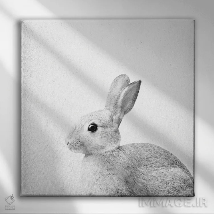 تابلو خرگوش سفید کوچک I اثر هنر آنیتا و بلا - نمای روبهرو روی دیوار