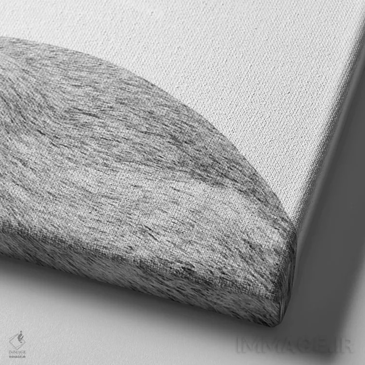 تابلو خرگوش سفید کوچک I اثر هنر آنیتا و بلا - نمای نزدیک بافت بوم