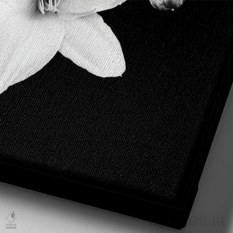 تابلو سوسنهای سفید بر زمینهٔ مشکی I اثر هنر آنیتا و بلا - نمای نزدیک بافت بوم