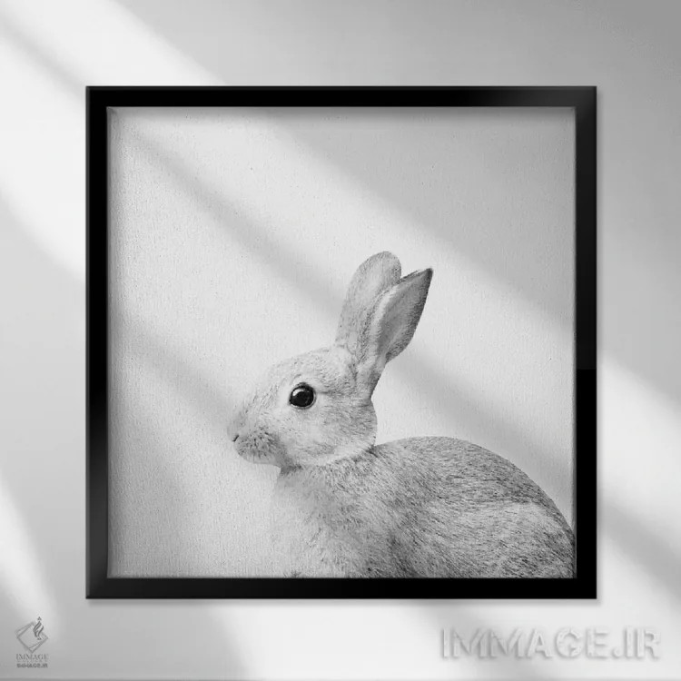 تابلو خرگوش سفید کوچک I اثر هنر آنیتا و بلا - نمای قابدار مشکی