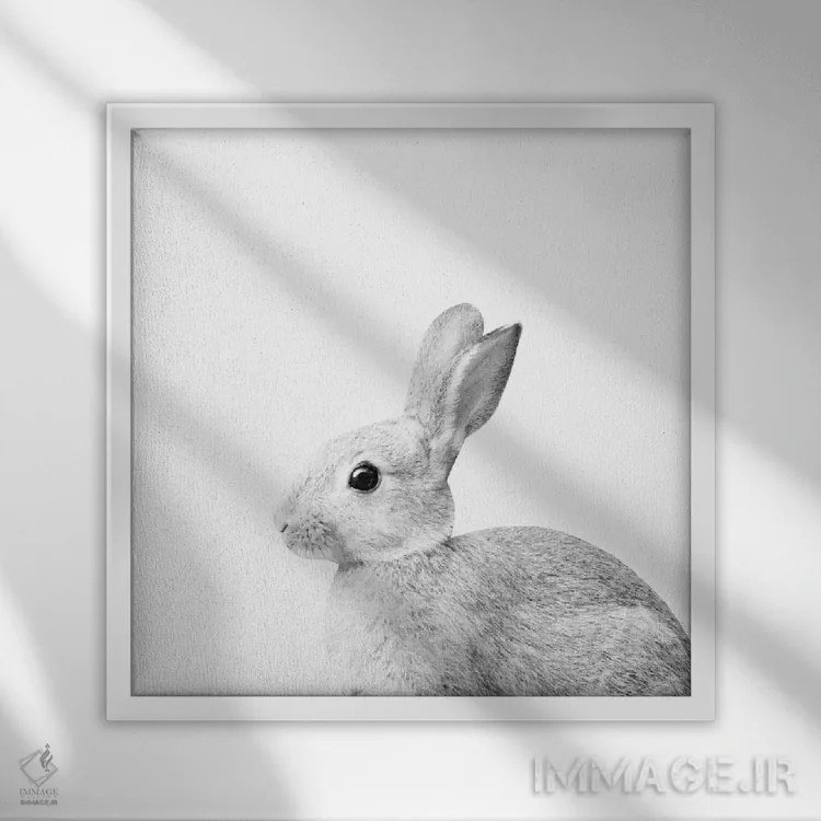 تابلو خرگوش سفید کوچک I اثر هنر آنیتا و بلا - نمای قابدار سفید