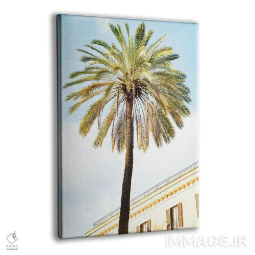 تابلو روم زیبا (ایتالیا) اثر هنر آنیتا و بلا - نمای پرسپکتیو محصول