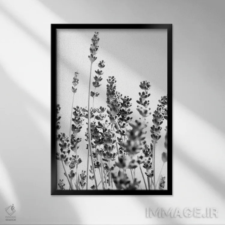 تابلو اسطوخودوس تازه در سیاه و سفید I اثر هنر آنیتا و بلا - نمای قابدار مشکی