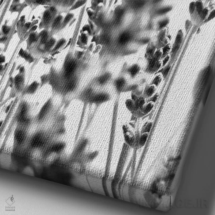 تابلو اسطوخودوس تازه در سیاه و سفید I اثر هنر آنیتا و بلا - نمای نزدیک بافت بوم