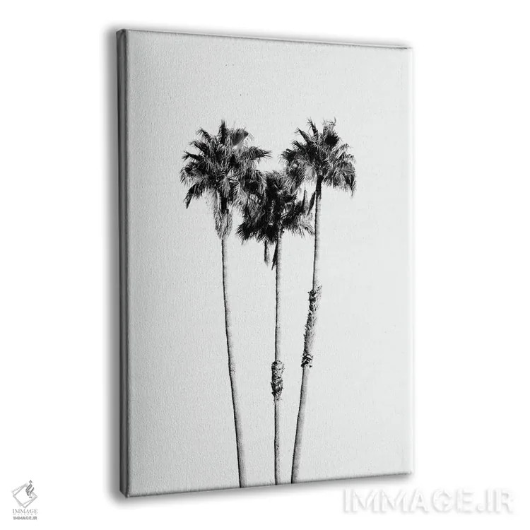 تابلو حال و هوای درختان نخل VII سیاه و سفید اثر هنر آنیتا و بلا - نمای پرسپکتیو محصول