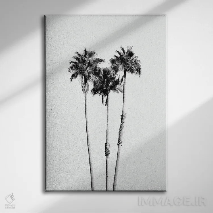 تابلو حال و هوای درختان نخل VII سیاه و سفید اثر هنر آنیتا و بلا - نمای روبهرو روی دیوار