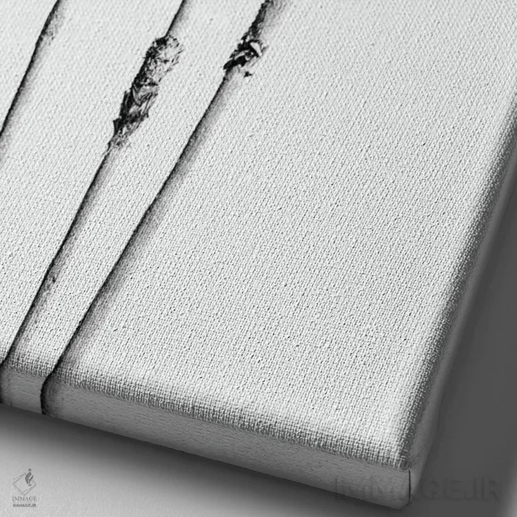 تابلو حال و هوای درختان نخل VII سیاه و سفید اثر هنر آنیتا و بلا - نمای نزدیک بافت بوم