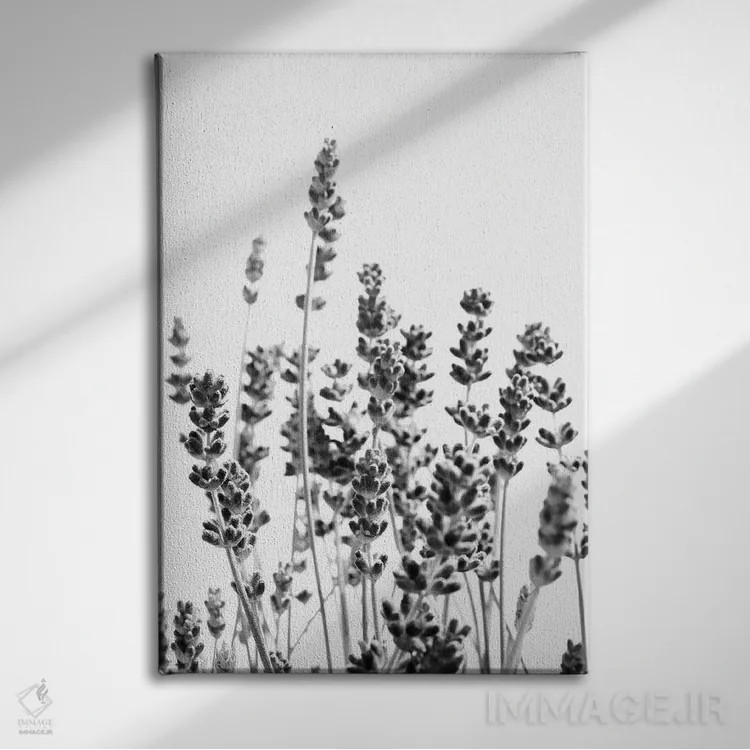 تابلو اسطوخودوس بنفش در سیاه و سفید I اثر هنر آنیتا و بلا - نمای روبهرو روی دیوار