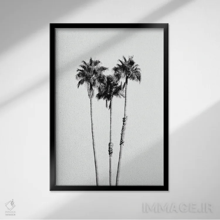 تابلو حال و هوای درختان نخل VII سیاه و سفید اثر هنر آنیتا و بلا - نمای قابدار مشکی