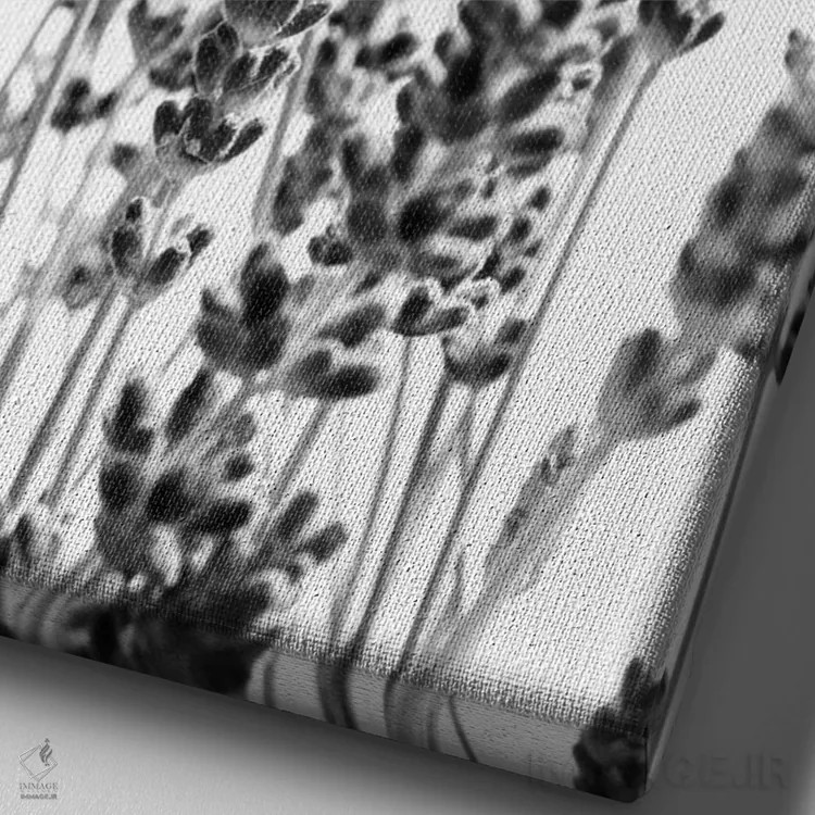 تابلو اسطوخودوس بنفش در سیاه و سفید I اثر هنر آنیتا و بلا - نمای نزدیک بافت بوم