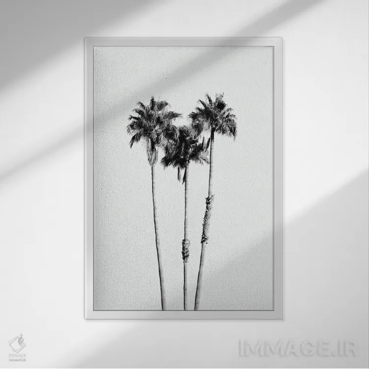 تابلو حال و هوای درختان نخل VII سیاه و سفید اثر هنر آنیتا و بلا - نمای قابدار سفید