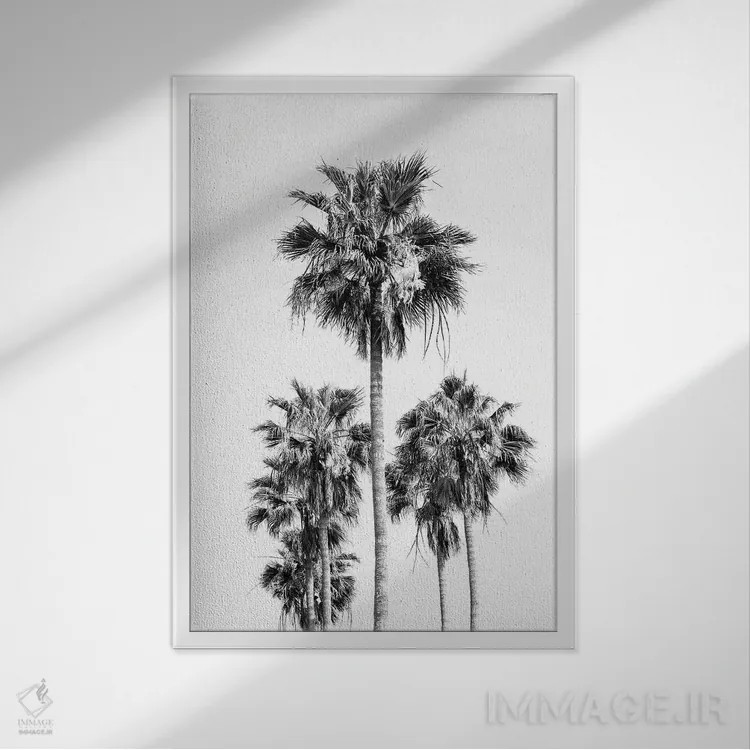 تابلو حال و هوای درختان نخل سیاه و سفید VIII اثر هنر آنیتا و بلا - نمای قابدار سفید
