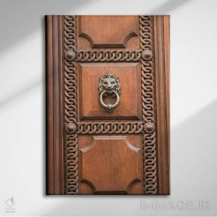 تابلو در رومی با شیر I اثر هنر آنیتا و بلا - نمای روبهرو روی دیوار