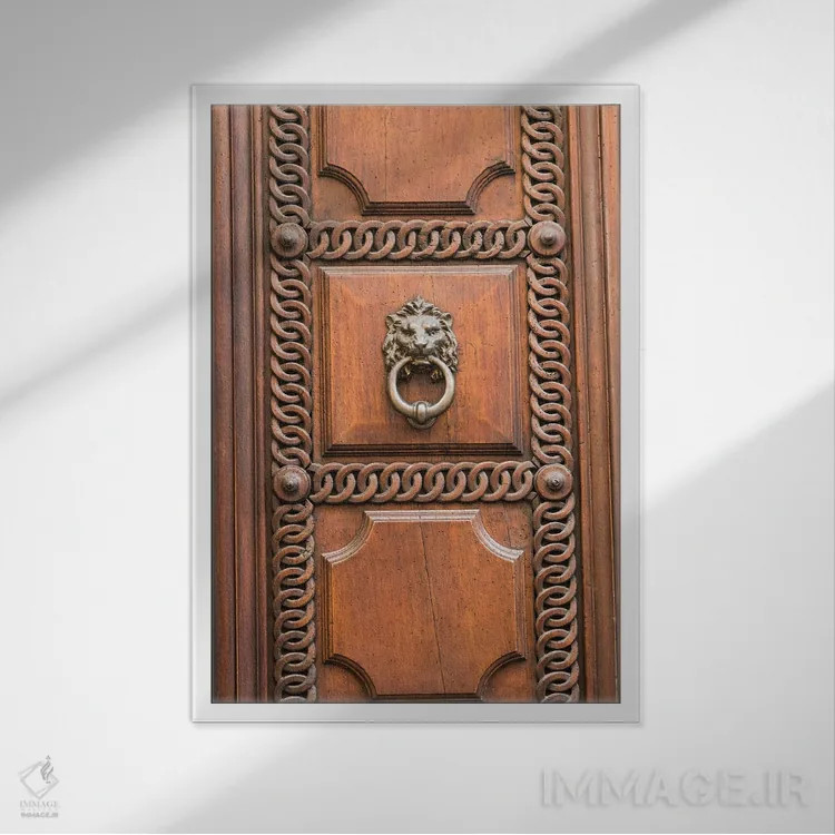 تابلو در رومی با شیر I اثر هنر آنیتا و بلا - نمای قابدار سفید