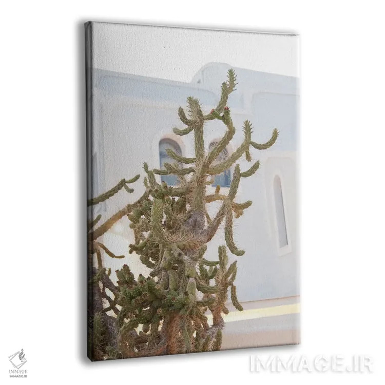 تابلو رویای کاکتوس سانتورینی I اثر هنر آنیتا و بلا - نمای پرسپکتیو محصول