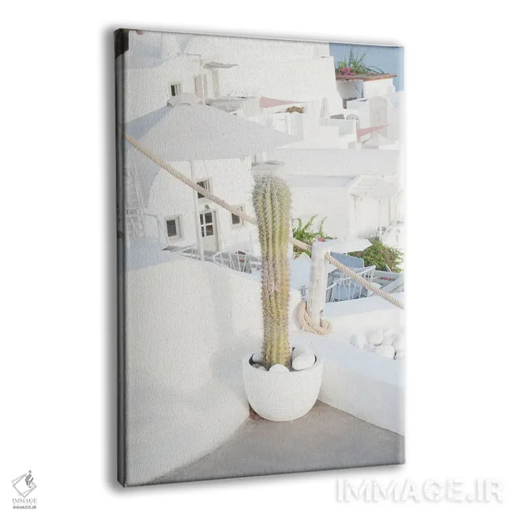 تابلو رویای کاکتوس سانتورینی II اثر هنر آنیتا و بلا - نمای پرسپکتیو محصول