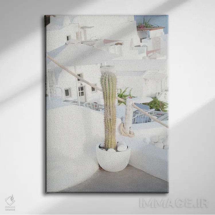 تابلو رویای کاکتوس سانتورینی II اثر هنر آنیتا و بلا - نمای روبهرو روی دیوار