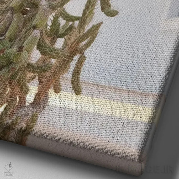 تابلو رویای کاکتوس سانتورینی I اثر هنر آنیتا و بلا - نمای نزدیک بافت بوم