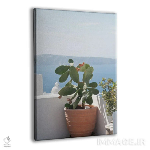 تابلو رویای کاکتوس سانتورینی III اثر هنر آنیتا و بلا - نمای پرسپکتیو محصول