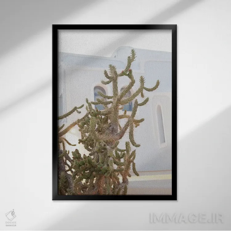 تابلو رویای کاکتوس سانتورینی I اثر هنر آنیتا و بلا - نمای قابدار مشکی