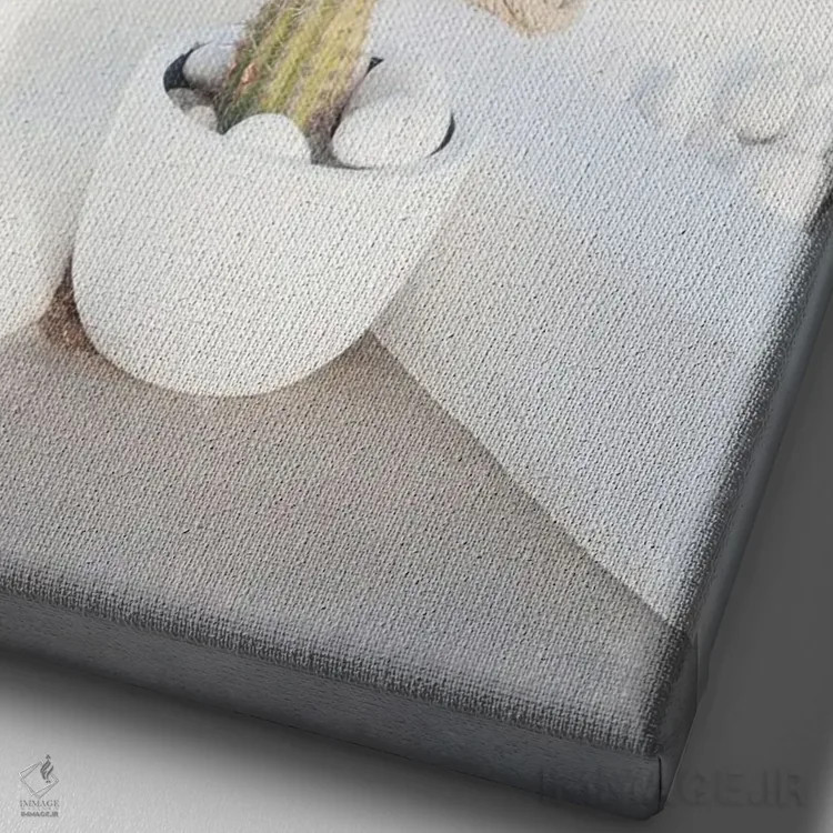 تابلو رویای کاکتوس سانتورینی II اثر هنر آنیتا و بلا - نمای نزدیک بافت بوم