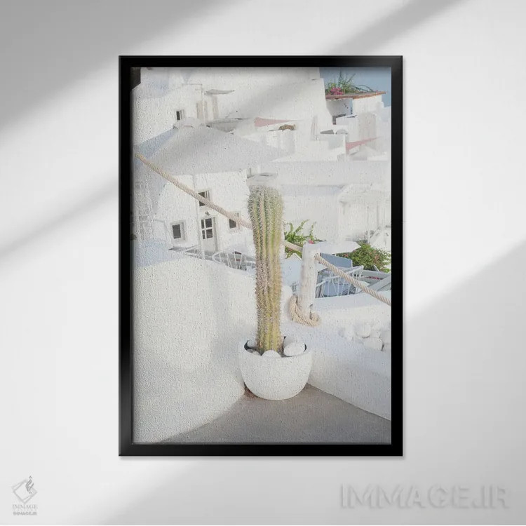 تابلو رویای کاکتوس سانتورینی II اثر هنر آنیتا و بلا - نمای قابدار مشکی