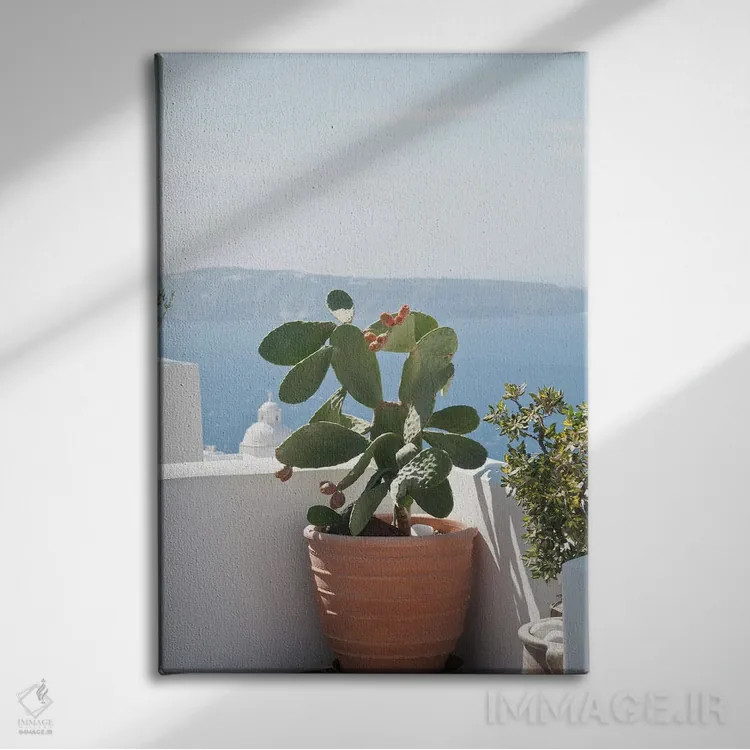 تابلو رویای کاکتوس سانتورینی III اثر هنر آنیتا و بلا - نمای روبهرو روی دیوار