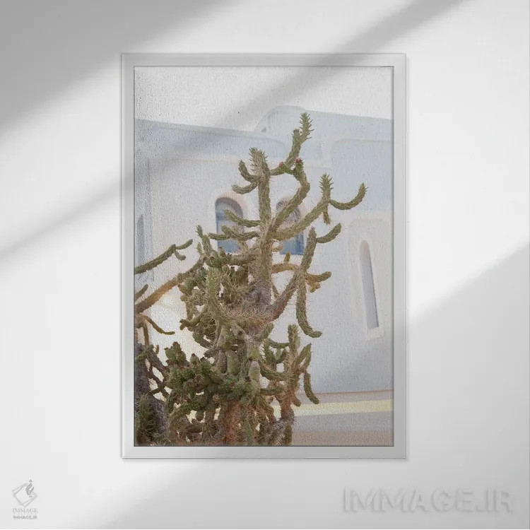 تابلو رویای کاکتوس سانتورینی I اثر هنر آنیتا و بلا - نمای قابدار سفید