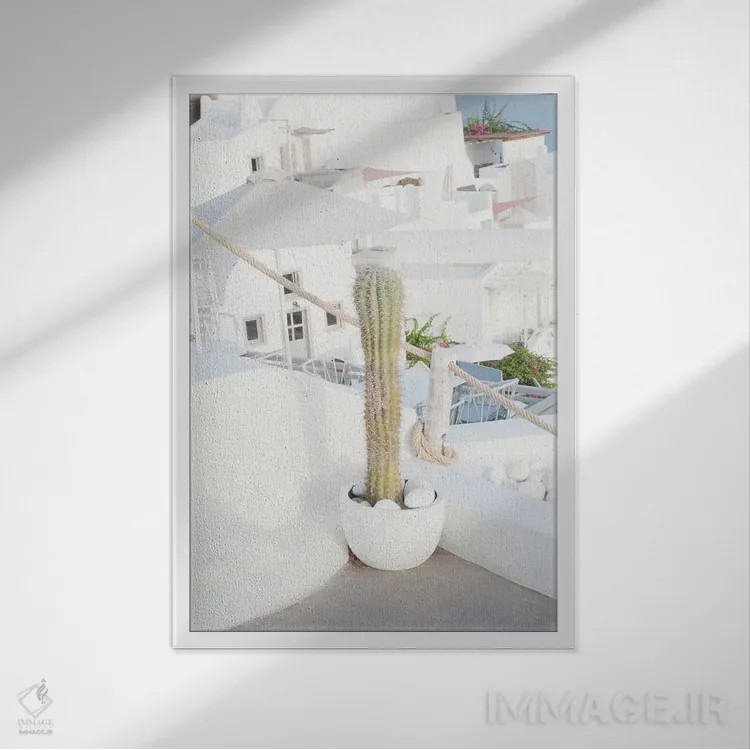 تابلو رویای کاکتوس سانتورینی II اثر هنر آنیتا و بلا - نمای قابدار سفید