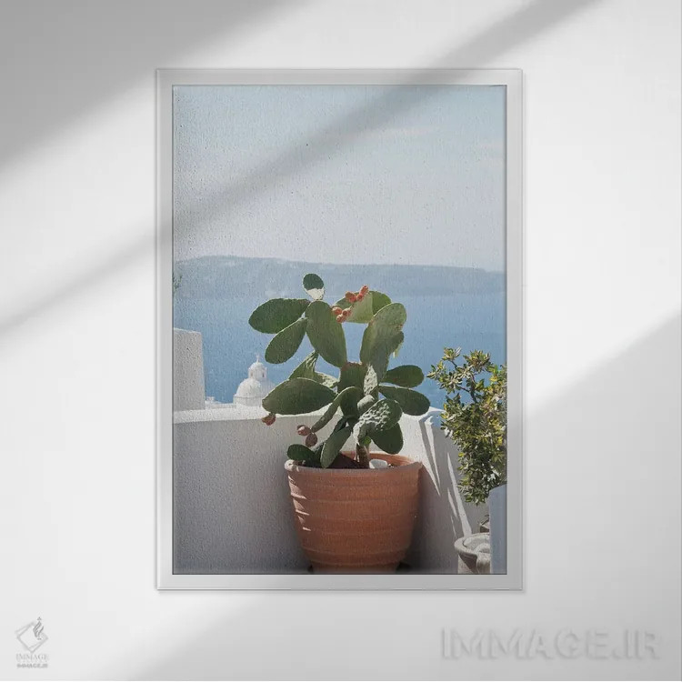 تابلو رویای کاکتوس سانتورینی III اثر هنر آنیتا و بلا - نمای قابدار سفید